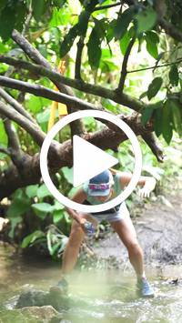 BIB:  <button type="button" onclick="openModal(27488066)" class="btn btn-primary btn-sm float-right" data-toggle="modal" data-target=".modal-high-quality">
                <i class="fa fa-download"></i> Download
                </button>